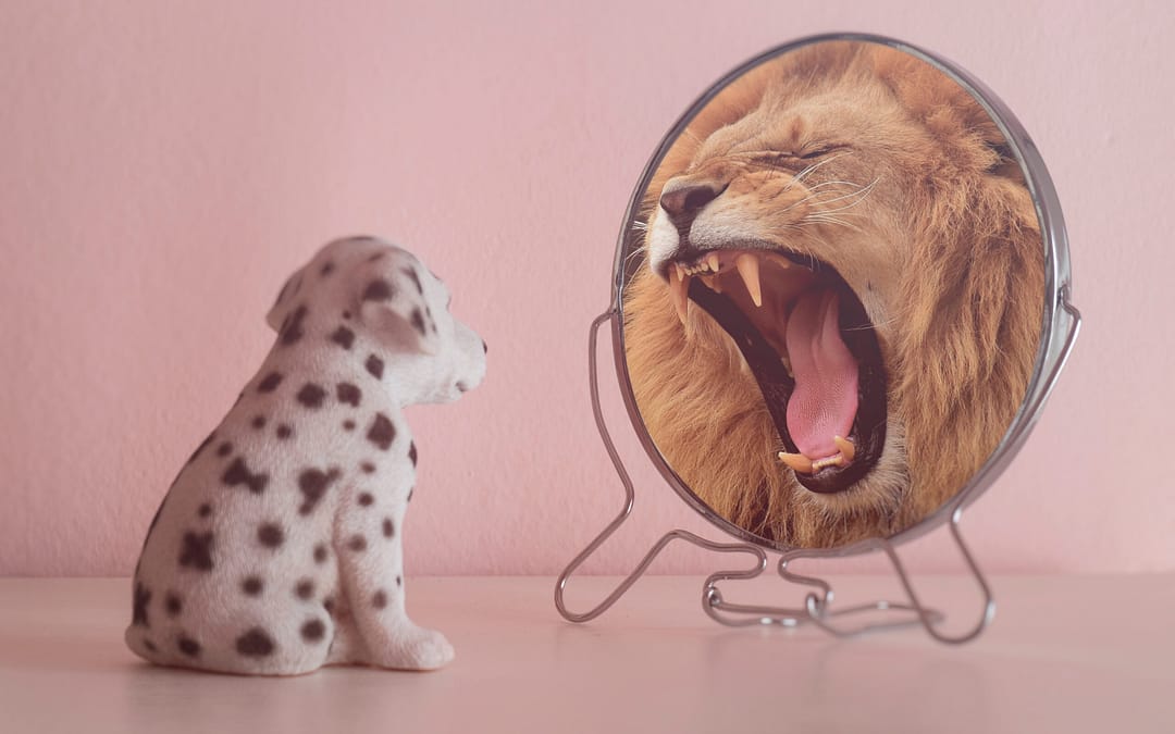 Conoce las 10 claves para alcanzar tu mejor versión