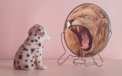 Conoce las 10 claves para alcanzar tu mejor versión